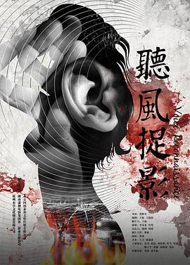 狮子王2019电影下载的海报